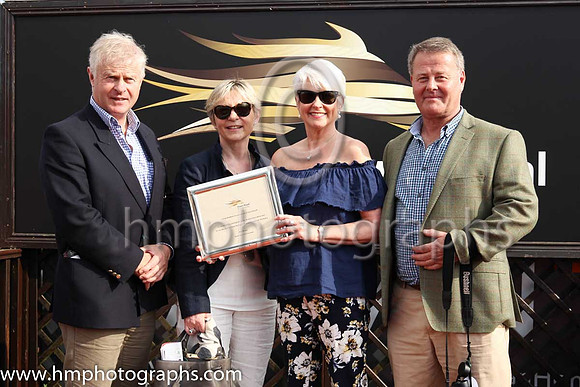 01st Jerandme and Mr M J O'Hare 5 ( 5 , royal blue, yellow stars ) Trainer - N Meade , Owner - Harbrio Partnership