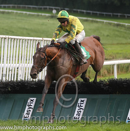 01 I C Gold & P Carberry - winners (4, yellow, green star) - AA1V0922-3