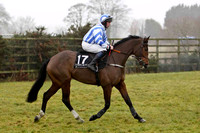 Connie De Mar - Jockey Mr R M Johnston - 16th - CU2D1792-e