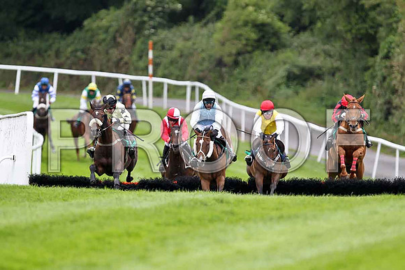 Glen Orchy lad, Perfect Buttons, Fleeting Moment , Golden Grimshaw , Turner Brown - FT8E1645-e