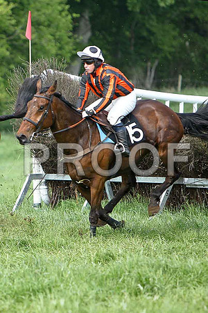 Fourth Race - The Snuffler (15) 2nd, Rider B F Brabazon  - CU2D9607-e