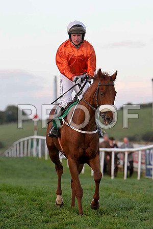 Toom Googly , 7th, Jockey Mr J P McKeown -FT8E3261-e