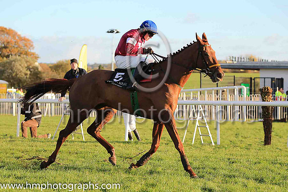 06th Net D'ecosse and Paul Townend ( 5 , maroon, white star, blue cap) Trainer - N Meade , Owner - Gigginstown House Stud