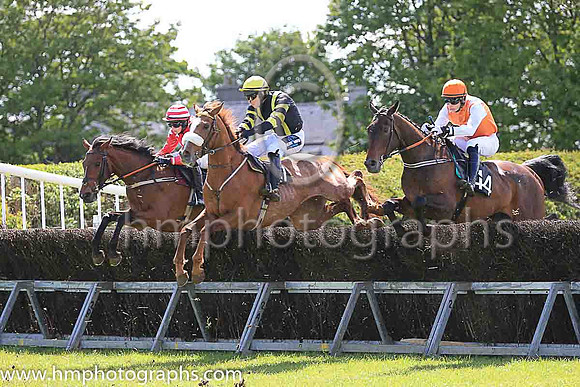 01st THUNDERSTRUCK and S F O'Keeffe ( 72 , RED,white stars; red sleeves,white stars; red  white hooped cap ) Trainer: C.W.J. Farrell , Owner : Edgar Allen