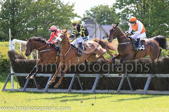 01st THUNDERSTRUCK and S F O'Keeffe ( 72 , RED,white stars; red sleeves,white stars; red  white hooped cap ) Trainer: C.W.J. Farrell , Owner : Edgar Allen