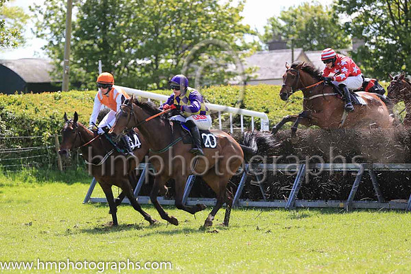 01st THUNDERSTRUCK and S F O'Keeffe ( 72 , RED,white stars; red sleeves,white stars; red  white hooped cap ) Trainer: C.W.J. Farrell , Owner : Edgar Allen