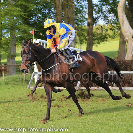 TAWNAWULLY and B O'Neill ( 14 ,Antrim (H) - ROYAL BLUE,yellow cross belts; yellow sleeves,royal blue armlet; yellow cap,royal blue diamonds ) Trainer: Paul McAleese , Owner : William Logan