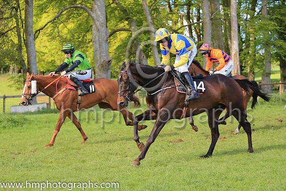 TAWNAWULLY and B O'Neill ( 14 ,Antrim (H) - ROYAL BLUE,yellow cross belts; yellow sleeves,royal blue armlet; yellow cap,royal blue diamonds ) Trainer: Paul McAleese , Owner : William Logan