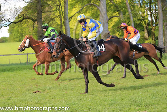TAWNAWULLY and B O'Neill ( 14 ,Antrim (H) - ROYAL BLUE,yellow cross belts; yellow sleeves,royal blue armlet; yellow cap,royal blue diamonds ) Trainer: Paul McAleese , Owner : William Logan