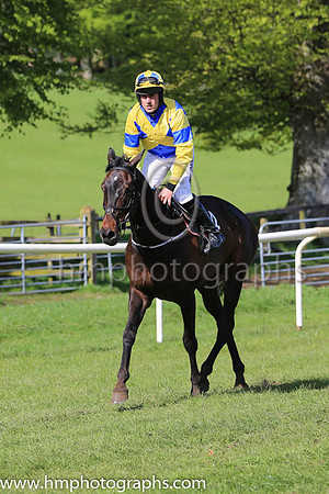 TAWNAWULLY and B O'Neill ( 14 ,Antrim (H) - ROYAL BLUE,yellow cross belts; yellow sleeves,royal blue armlet; yellow cap,royal blue diamonds ) Trainer: Paul McAleese , Owner : William Logan