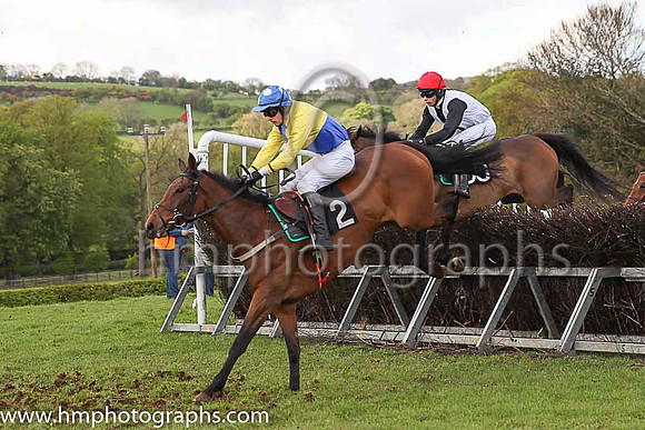 01st SHE MITE BITE and M J O'Hare ( 2 , YELLOW  ROYAL BLUE QTD; yellow sleeves; royal blue cap,white spots ) Trainer: J.G. Cosgrave , Owner : R.J. Armstrong