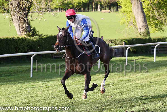 01st SOME RESPONSE and B O'Neill ( 7 , WHITE; royal blue sleeves; red cap ) Trainer: B.R. Hamilton , Owner : Brian Hamilton