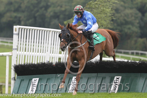 07 Shabra Charity &amp; M Bolger - 7th(7,blue, torquise spots)