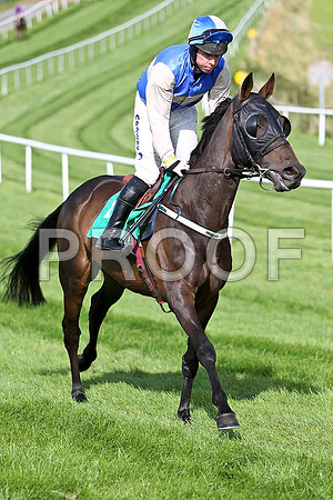 Glens Ruby 9th, Jockey A E Lynch- CU2D1771-e