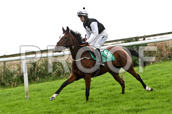Cyrus , 6th , Jockey I J McCarthy  - FT8E5146-e