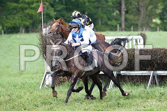 Fifth Race Div 1 - Anforah (11) 6th, Rider J T Rath - CU2D9651-e