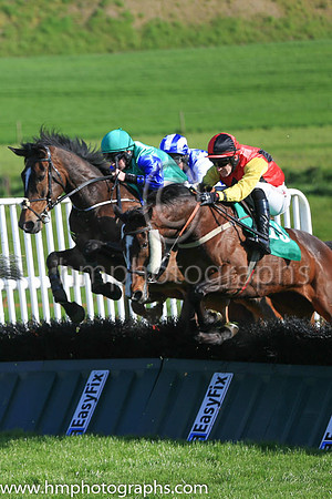 15th Lady Margorie and A Ring 3 ( 15 , red, three black diamonds ) Trainer - Alan Wells , Owner - John Farquhar