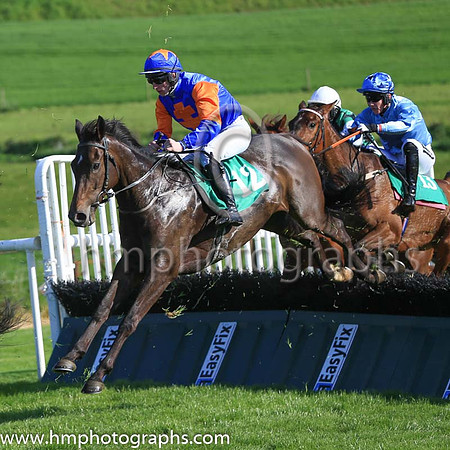 12th Youandiwillfly and Mr M C O?Donovan 7 ( 12 , blue orange cross ) Trainer - D E Fitzgerald , Owner - Donal Barnwell