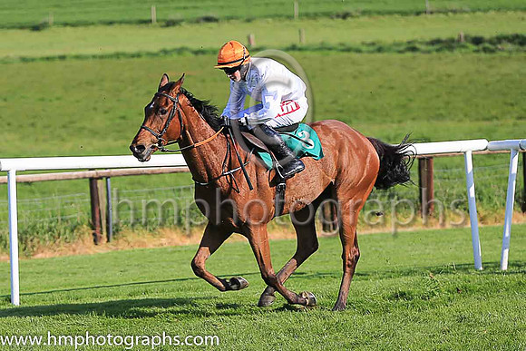 10th Captain Cobajay and B J Cooper ( 3 , white, light green star ) Trainer - P Nolan , Owner - Paul Nolan