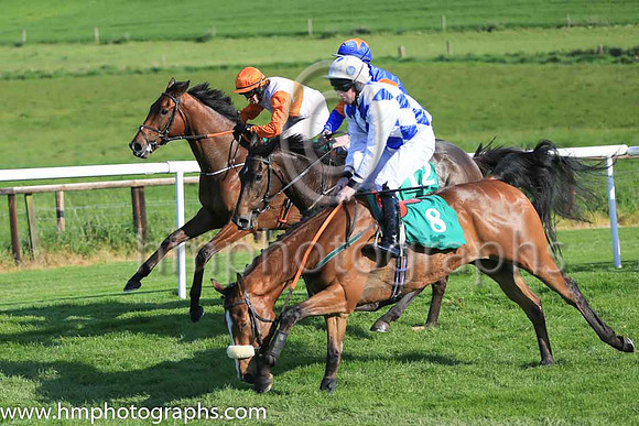 11th King Of Scotland and M F Mooney ( 8 , blue and white diamonds ) Trainer - Mrs A Mooney , Owner - J McCaghy