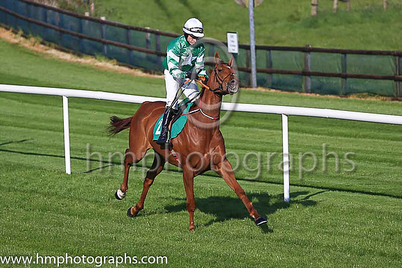 08th El Rouli and D Robinson 5 ( 2 , green, white star ) Trainer - H de Bromhead , Owner - Philip J Reynolds