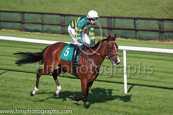Pu Banksoftheshannon and M P Walsh ( 5 , orange and green hooped ) Trainer - E Griffin , Owner - John P McManus