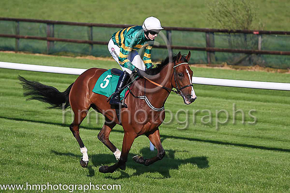 Pu Banksoftheshannon and M P Walsh ( 5 , orange and green hooped ) Trainer - E Griffin , Owner - John P McManus
