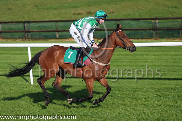 Pu Lambs Lane and J W Kennedy ( 7 , green and white chevrons ) Trainer - P J Rothwell , Owner - Amberdale Syndicate
