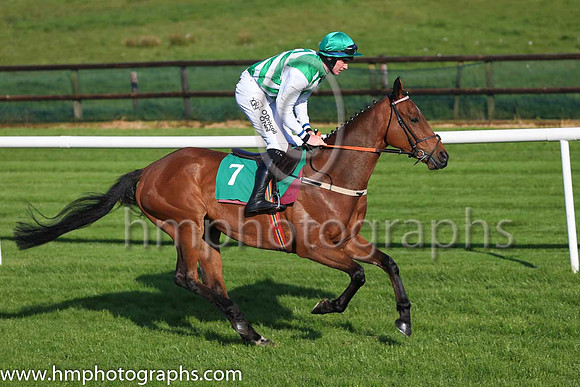 Pu Lambs Lane and J W Kennedy ( 7 , green and white chevrons ) Trainer - P J Rothwell , Owner - Amberdale Syndicate