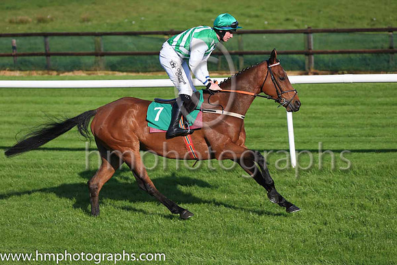 Pu Lambs Lane and J W Kennedy ( 7 , green and white chevrons ) Trainer - P J Rothwell , Owner - Amberdale Syndicate
