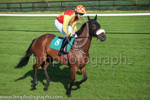 05th Littlestickarubarb and Mr F Maguire 3 ( 8 , red and yellow atrd ) Trainer - M Winters , Owner - John Kilbane