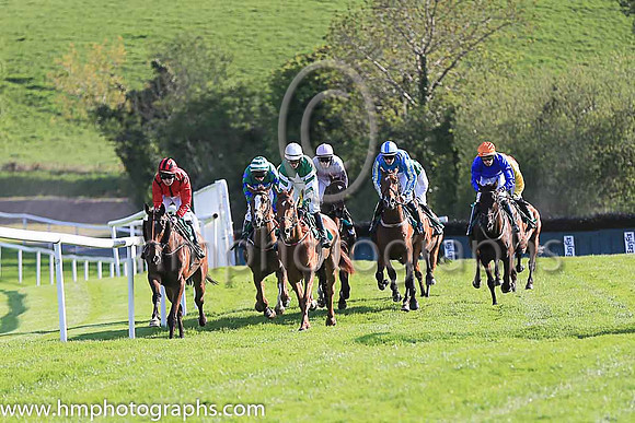 01st Two In One and L P Dempsey ( 4 , red, black seams ) Trainer - J P Dempsey , Owner - Red Mans Cave Syndicate