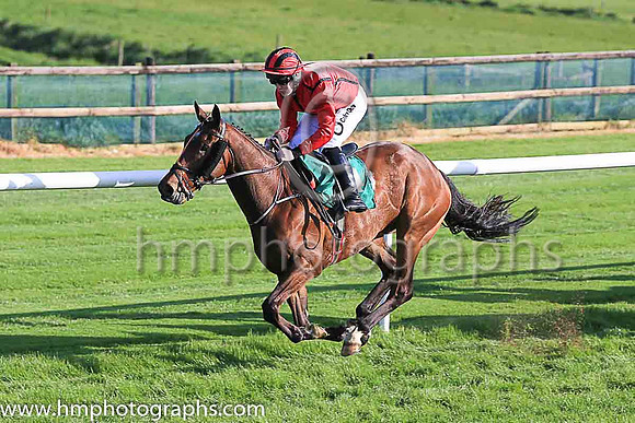 01st Two In One and L P Dempsey ( 4 , red, black seams ) Trainer - J P Dempsey , Owner - Red Mans Cave Syndicate