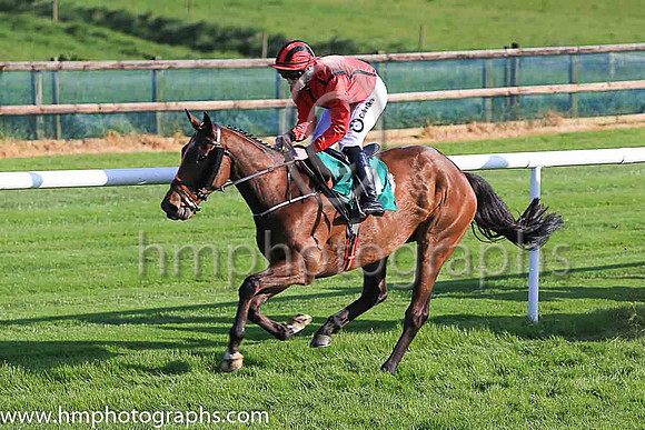 01st Two In One and L P Dempsey ( 4 , red, black seams ) Trainer - J P Dempsey , Owner - Red Mans Cave Syndicate