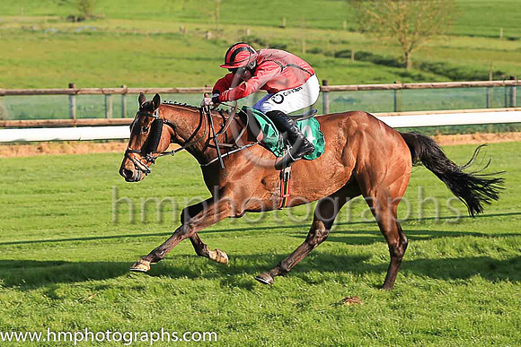 01st Two In One and L P Dempsey ( 4 , red, black seams ) Trainer - J P Dempsey , Owner - Red Mans Cave Syndicate
