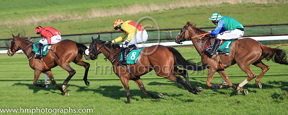 05th Littlestickarubarb and Mr F Maguire 3 ( 8 , red and yellow atrd ) Trainer - M Winters , Owner - John Kilbane