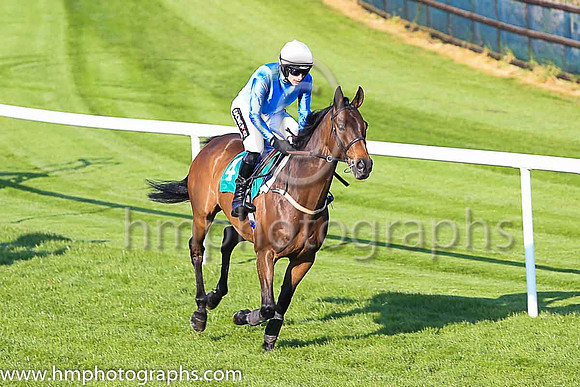 01st King Of Aran and D E Mullins ( 4 , blue, white cap ) Trainer - M C Grassick , Owner - M C Grassick