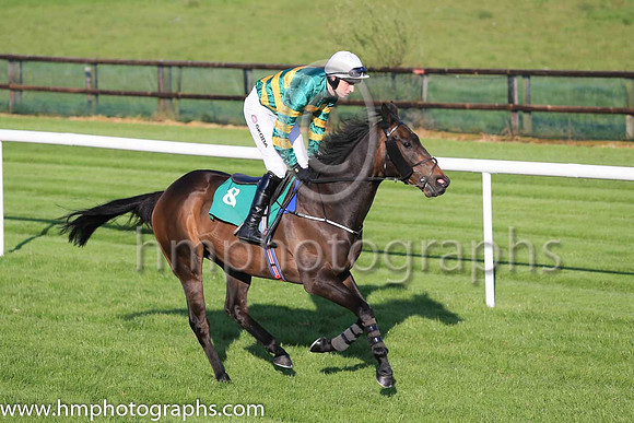 05th Aquarian and M P Walsh ( 8 , orange and green hooped ) Trainer - Joseph P O?Brien , Owner - John P McManus