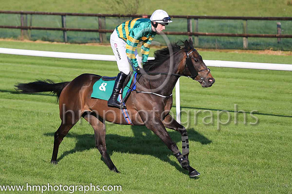 05th Aquarian and M P Walsh ( 8 , orange and green hooped ) Trainer - Joseph P O?Brien , Owner - John P McManus