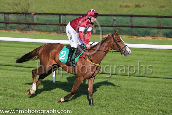 02nd Crown Of Thorns and S W Flanagan ( 2 , maroon, white cap ) Trainer - N Meade , Owner - Gigginstown House Stud