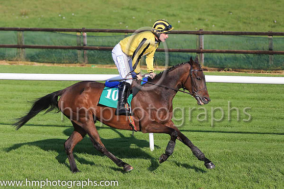 12th Yeats Baby and I J McCarthy ( 10 , yellow, light blue sash ) Trainer - Francis J Flood , Owner - Kildare Racing Club
