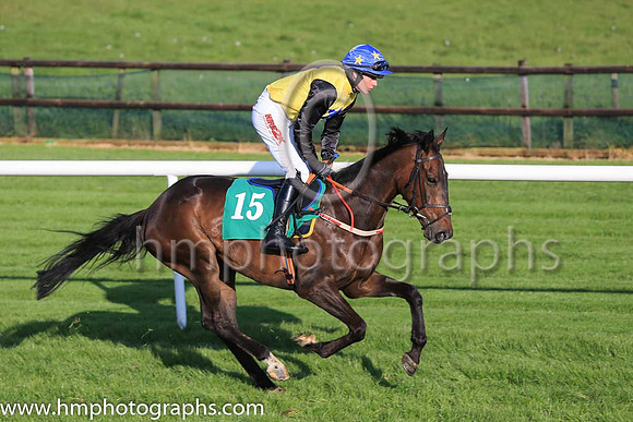 Pu The Crane Man and C D Timmons 3 ( 15 , yellow, blue star ) Trainer - Thomas Coyle , Owner - Hope For The Hopeless Syndicate