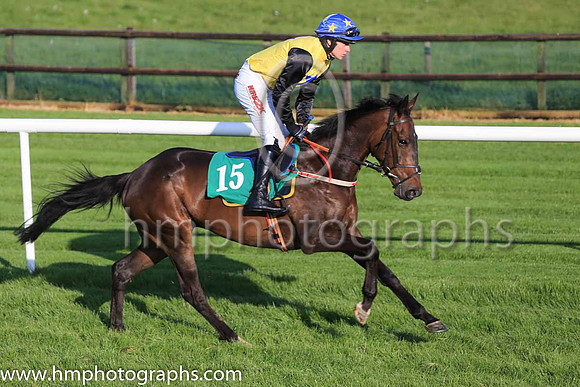 Pu The Crane Man and C D Timmons 3 ( 15 , yellow, blue star ) Trainer - Thomas Coyle , Owner - Hope For The Hopeless Syndicate