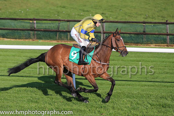 03rd Folly Dat and A Ring 3 ( 9 , yellow, yellow sleeves blue hoops ) Trainer - R K Watson , Owner - J J Taylor