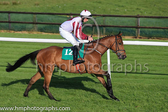 11th Grande Waltz and D P Maxwell 7 ( 12 , white, brown diamond ) Trainer - Andrew McNamara , Owner - In It For The Craic Syndicate