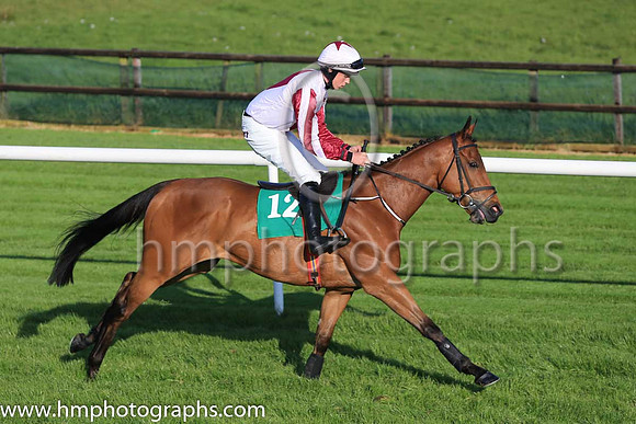 11th Grande Waltz and D P Maxwell 7 ( 12 , white, brown diamond ) Trainer - Andrew McNamara , Owner - In It For The Craic Syndicate