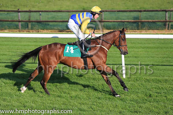 06th Shipwreck and A W Short 5 ( 14 , blue and yellow hoops ) Trainer - C A McBratney , Owner - Templeburn Racing Syndicate
