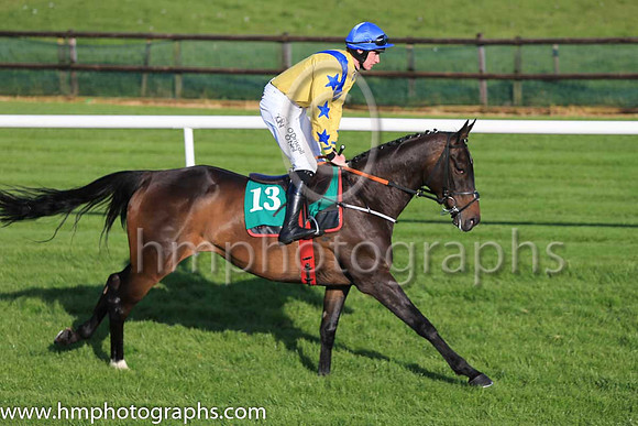 04th Thisonesforollie and J W Kennedy ( 13 , yellow, blue chevron ) Trainer - G Elliott , Owner - B Mannion  Brendan O?Grady