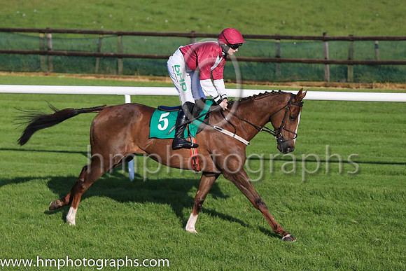 09th Coldstonesober and Rachael Blackmore ( 5 , brown, white stripe ) Trainer - J R Finn , Owner - J R Finn