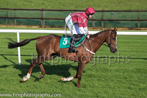 09th Coldstonesober and Rachael Blackmore ( 5 , brown, white stripe ) Trainer - J R Finn , Owner - J R Finn